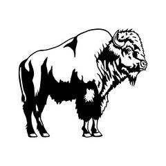 Buffalo silhouette in black and white. Wild animal vector design for t-shirt, clipart