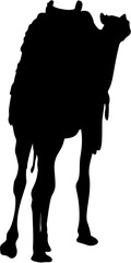 Baby Camel Realistic Silhouette Black Eps Vector Illustration