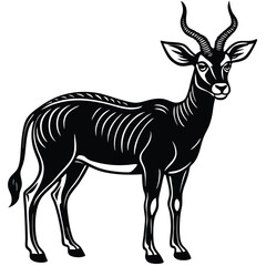 Adobe Illustrator AAnimal horns silhouettes, antelope, ram, goat, buffalo horn. Deer antlers, hunting trophy, wild animals horn and antler silhouette vector set. Curled big and small horns of dirtwork