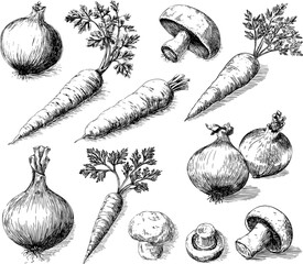 Hand-drawn vector illustration of fresh vegetables, including an onion, a carrot, and a mushroom, on a white background. Sketch-style vector hand drawing