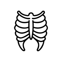 Fototapeta premium ribs