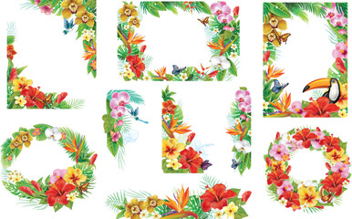 Tropical Floral Frames with Hummingbirds and Butterflies