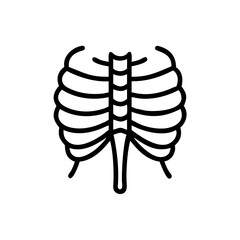 ribs