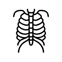 ribs