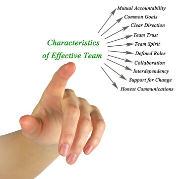 Ten Characteristics of Effective Team