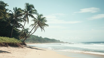 Obraz premium Photograph of a tropical beach with palm trees and a clear blue sky, a natural landscape view, generate AI