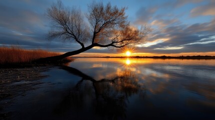Tranquil sunset over a serene lake, with a lone tree reflecting in the water