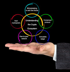 Five elemants of Crypto Ecosystem