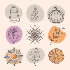 Natural Tree plant vector illustration