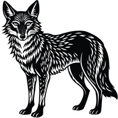 Cunning coyote lurks a prey, hen vector silhouette illustration isolated on white. Smart animal predator. Jackal hunting hen chicken behind back. Farm chantry poultry in danger. Scary domestic bird.