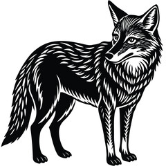 Cunning coyote lurks a prey, hen vector silhouette illustration isolated on white. Smart animal predator. Jackal hunting hen chicken behind back. Farm chantry poultry in danger. Scary domestic bird.