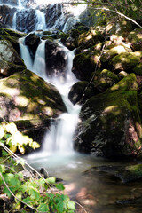 Waterfall in Fundy National Park New Brunswick Canada