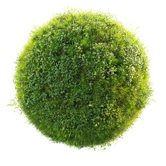 green grass planet isolated on white background, Conceptual 3D rendering resembling a miniature grassy planet