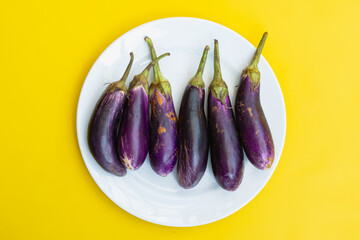 Purple eggplant on a white plate