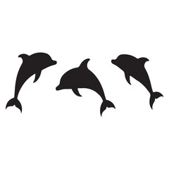 dolphin jumping in water