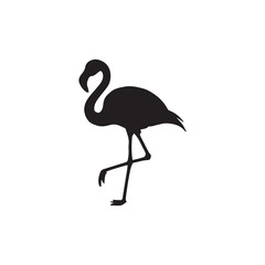 flamingo silhouette isolated on white