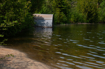 A partially submerged corrugated metal culvert near the edge of a forested lake. Capturing a rustic yet harmonious interaction of industrial with nature.