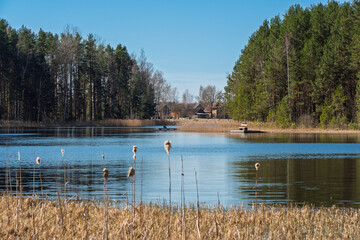 A narrow wooden boardwalk winds along the lakeshore through leafless birch trees, leading to a quiet bench with a view of the calm water and forest beyond.