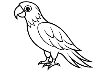 Elegant Macaw Outline