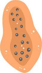 Papaya, ripe papaya, vector, fruit