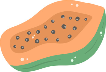 Papaya, ripe papaya, vector, fruit