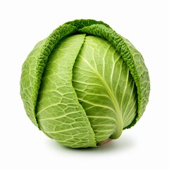 Fototapeta premium cabbage isolated on white background