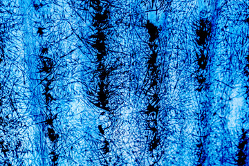 A vivid abstract texture photograph showcasing intricate black fibrous strands against a bright...