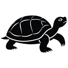 turtle vector illustration
