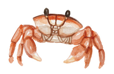Watercolor crab hand painted © Yorda