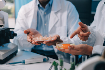 Team Asian scientists in a lab conducting food research using a microscope and lab equipment,...