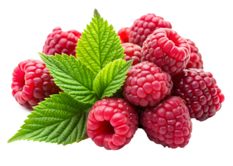 fresh raspberries with leaf isolated on white background .PNG