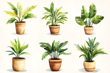 Fototapeta premium Elegant Mix of Indoor and Outdoor Potted Plants for Green Interior Design and Home Decor