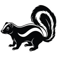 Fototapeta premium Adobe Illustrator ArtwSkunk animal cartoon icon vector illustration graphic designrk