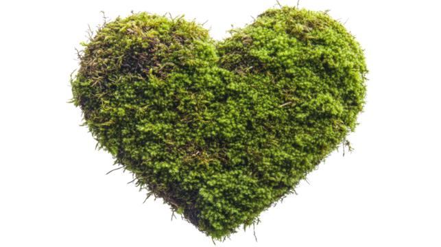 green grass heart