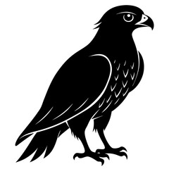 Hawk Bird Silhouette Vector & Predatory Bird Icon