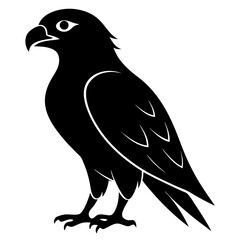 Hawk Bird Silhouette Vector & Predatory Bird Icon