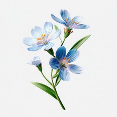 Delicate Blue Flowers with Graceful Petals and Lush Green Leaves