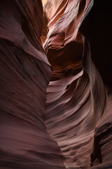 Mountain Sheep Canyon