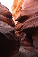 Mountain Sheep Canyon