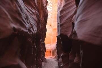 Mountain Sheep Canyon