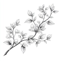 Elegant Black and White Floral Illustration of Delicate Branch Design