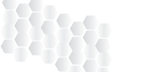Fototapeta premium Luxury white and grey hexagonal abstract background with shadow Geometric grey background. Vector banner design with hexagons. Medical, science and technology concept.