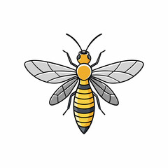 bee on white background