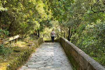 Woman on her back walking on a path formed by large stone floor and surrounded by dense green...