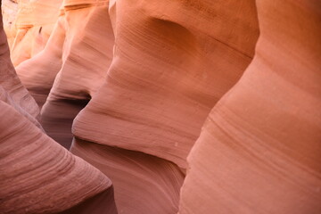 Antelope Canyon - Rattlesnake