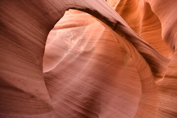 Antelope Canyon - Rattlesnake