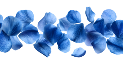 Floating Blue Petals on White Background