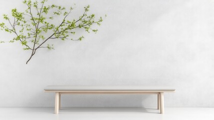 Minimalist modern interior with wooden bench and green branch