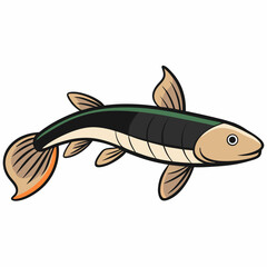illustration of a fish