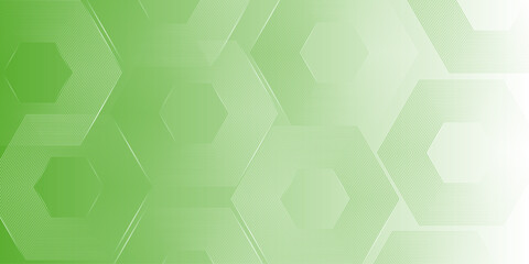 Vector abstract hexagonal white and green background. Smooth hexagon line background, blurred pattern. Light pale texture.